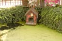 019DSC_0522