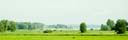 042DSC_0131